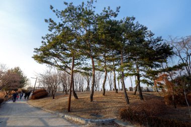 Seonyudo Park Seoul, Güney Kore Seoul, Güney Kore - 3 Mart 2018: görünümü. Parkta bir filtrasyon tesisi, böylece endüstriyel bak, eskiden ama ekolojik bir parka dönüştürüldü.