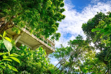 Boracay, Filipinler - 18 Kasım 2017: View point Batı Cove Resort, Filipin Boracay Adası ünlü dönüm noktası olan ağaçlar arasında