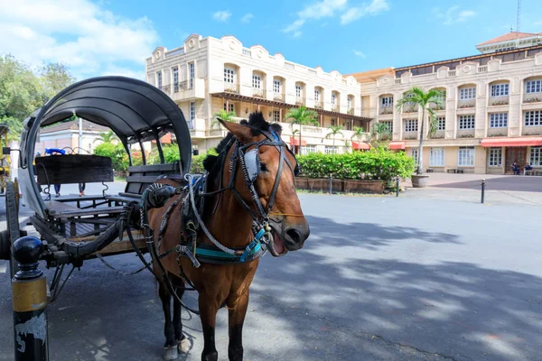 Manila, Filipinler - 17 Şubat 2018: At Intramuros bölgesinde turist bekleyen taşıma ile
