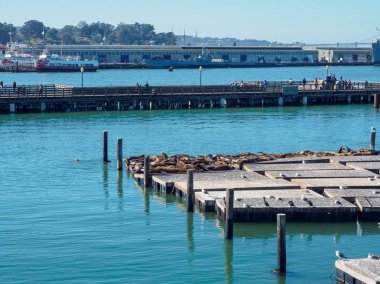 San Francisco, California - 17 Şubat 2018: Sahne PIER 39 fisherman's wharf adlı ünlü turistik spot olan San Francisco.