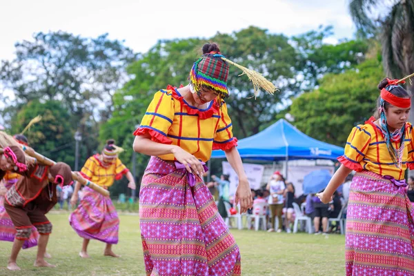 Manila Filipinler Şubat 2018 Ali Rıza Park Manila City Filipinler — Stok fotoğraf