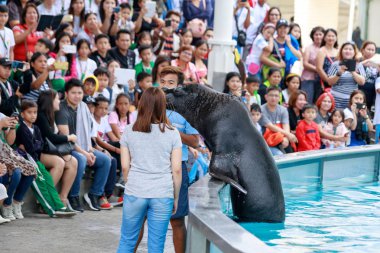 Subic Bay, Manila, Filipinler: 28 Ocak 2018 - kimliği belirsiz kişi deniz aslanı Subic okyanus macera Show'da kalabalıklar önünde buluşuyoruz