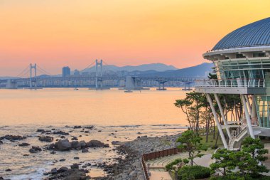 Dongbaek Adası ve Kore Busan şehrinde gün batımında Gwangan köprüsü