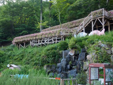 Daegu, Güney Kore - 19 Ağustos 2018: Hillcrest (Hub Hills), Eko tema park bahçeler, çocukların sürmek ve ZIP-astar ve dağ tırmanışı ile bir macera alanı featuring.