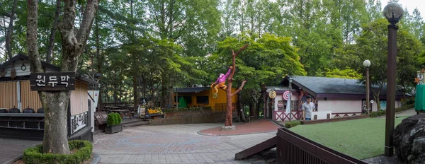 Daegu Südkorea August 2018 Hillcrest Knotenhügel Öko Themenpark Mit Gärten — Stockfoto