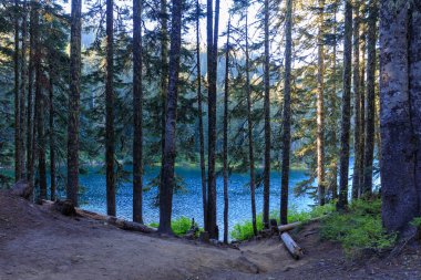 Konsey Lake Washington muhteşem manzara Portland city yakınındaki