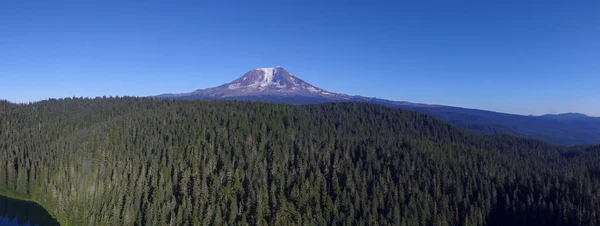 Mount Adams Stratovolcano Washington — Stock Photo, Image