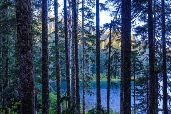 Spettacolare Panoramica Del Lago Council Washington Vicino Portland — Foto Stock