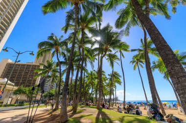 Honolulu, Hawaii - 23 Aralık 2018: Honolulu palmiye Hindistan cevizi ağaçları ile kaplı Waikiki beach