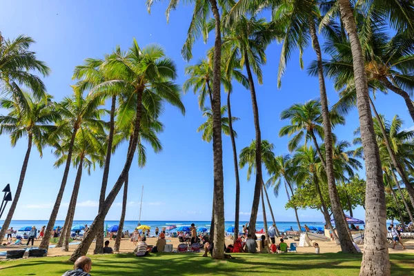 Honolulu Havaí Dezembro 2018 Praia Waikiki Forrada Com Coqueiros Palmeiras — Fotografia de Stock