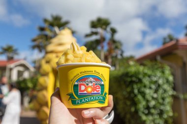 Wahiawa'daki, Hawaii - 25 Aralık 2018: Ananas dondurma Dole ananas plantasyon içinde Wahiawa, Tur hedef