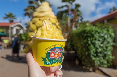 Wahiawa'daki, Hawaii - 25 Aralık 2018: Ananas dondurma Dole ananas plantasyon içinde Wahiawa, Tur hedef