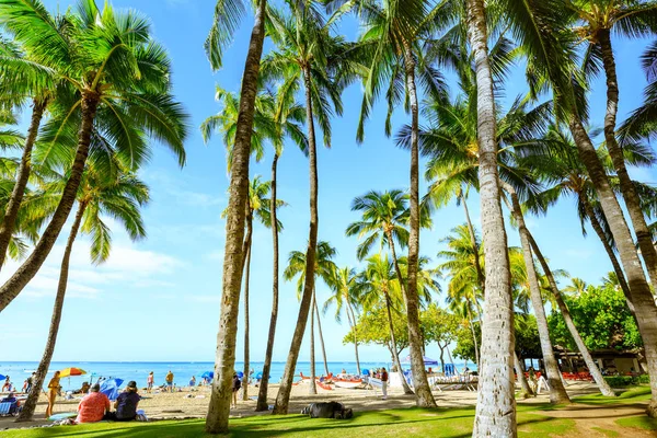 Honolulu Havaí Dezembro 2018 Oahu Waikiki Beach Honolulu — Fotografia de Stock