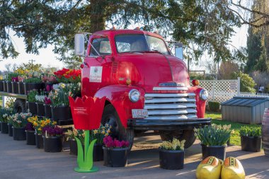 Ahşap ayakkabı Lale Festivali, çiftlik Clackamas County, Oregon sahne