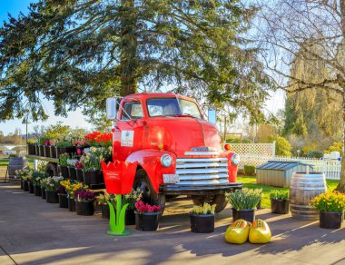 Ahşap ayakkabı Lale Festivali, çiftlik Clackamas County, Oregon sahne