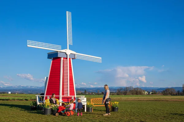 Scene of Wooden Shoe Tulip Festival, Farm in the Clackamas County, Oregon — Stock Photo, Image