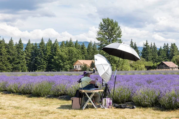 Capuz mt vale de lavanda em Oregon — Fotografia de Stock