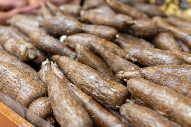Yucca kökü süpermarkette satılıyor.