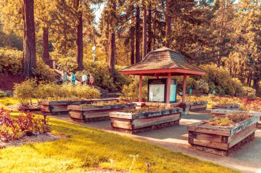Portland Gül Bahçesi Sahnesi, 10.000 'den fazla bitki içeren bahçe manzaralı bir park..
