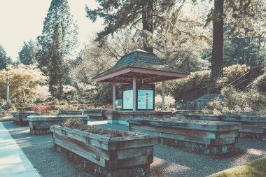 Portland Gül Bahçesi Sahnesi, 10.000 'den fazla bitki içeren bahçe manzaralı bir park..