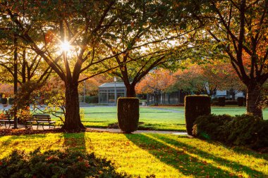 Oregon Eyaleti Eyalet Parkı Sonbahar sezonunda