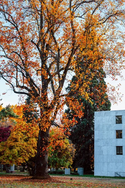 Oregon State Capitol State Park en la temporada de otoño — Foto de Stock