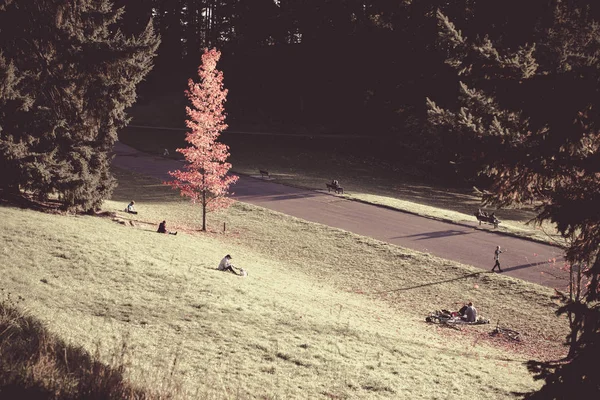 Un paseo soleado por la tarde en Mt. Tabor Park en Portland, temporada de otoño —  Fotos de Stock