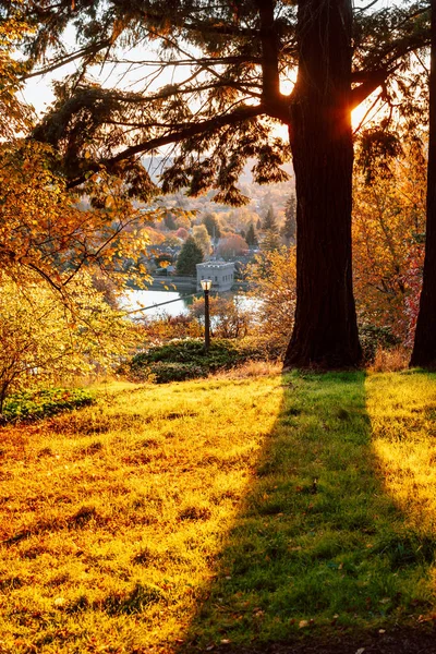 Un paseo soleado por la tarde en Mt. Tabor Park en Portland —  Fotos de Stock