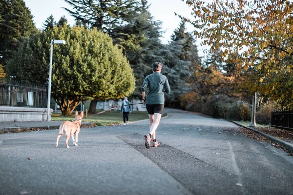 Corredor saludable corriendo con su perro en el monte. Parque de embalses de agua de Tabor — Foto de Stock
