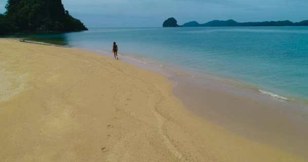 空中: 一个黑发女孩沿着海滩散步. — 图库视频影像