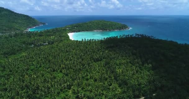 Aéreo: Vista de abertura de uma bela praia de areia branca deserta após um bosque de palmeiras — Vídeo de Stock