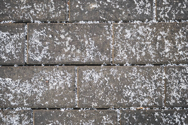 Close up of even horizontally tiled surface covered with first snow. Abstract background
