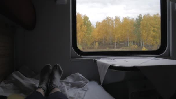 Window view inside train wagon — Stock Video