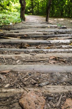 Köprünün eski çalı çırpı ve ormandaki kahverengi yaprakları ile kaplı dokulu yaşlı soyulmuş ahşap yıpranmış yakın çekim