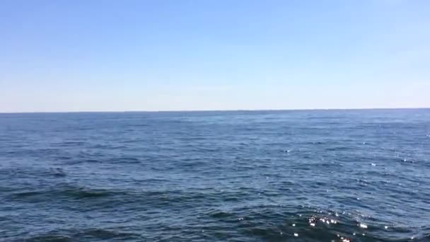 Блакитне небо та ігристий водяний постріл з човна, що швидко рухається — стокове відео