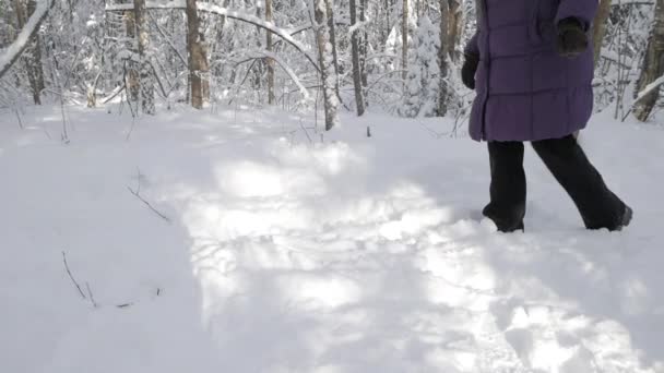 Ženské nohy v černé kalhoty a boty walking prostřednictvím čerstvý sníh — Stock video