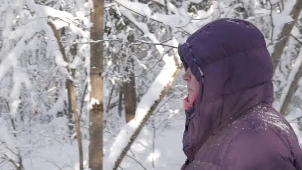 Старша жінка йде повз камеру в красивому зимовому лісі — стокове відео