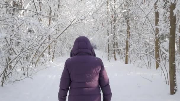 Kvinna Vinterjacka Med Huva Ifrån Kameran Vintern Skogen Täckt Med — Stockvideo