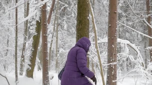 Kobieta Kurtka Zimowa Kapturem Chodzenie Trudem Przez Las Zima Mocno — Wideo stockowe