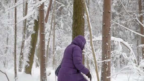 Žena Zimní Bunda Kapucí Chůzi Prodíral Zimní Les Silně Pokryté — Stock video