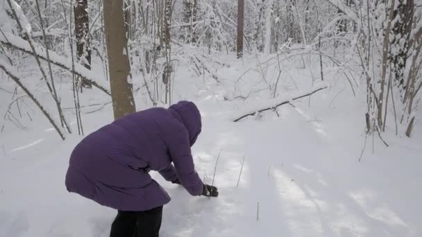 Mulher Sênior Casaco Inverno Capuz Divertindo Pegando Punhado Neve Fresca — Vídeo de Stock