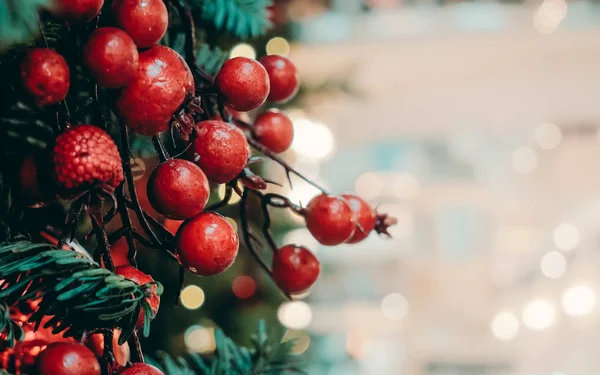 Büyük Olgun kırmızı meyveler yeşil çam ağaç dalları ve arka plan bulanık Noel ve yeni yıl için kopya alanı için posterler, tatil kartları ile parlak ışıkları