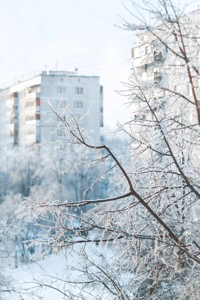 Close Galhos Árvores Cobertos Gelo Neve Branca Contra Edifícios Cidade — Fotografia de Stock