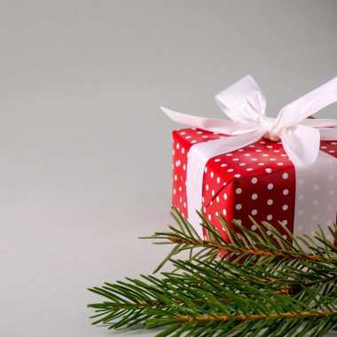 Beyaz lekeli ve çam dalları ile kırmızı kağıt hediye