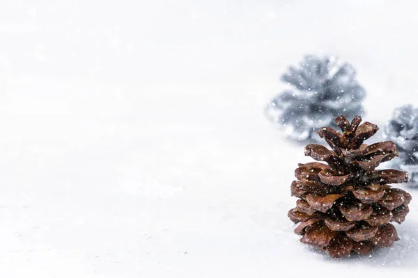 Pine cones like Christmas trees in snow on white background — Stock Photo, Image