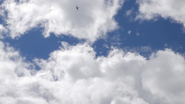Parlak Mavi Gökyüzü Arka Plan Beyaz Kabarık Yumuşacık Bulutlar — Stok video