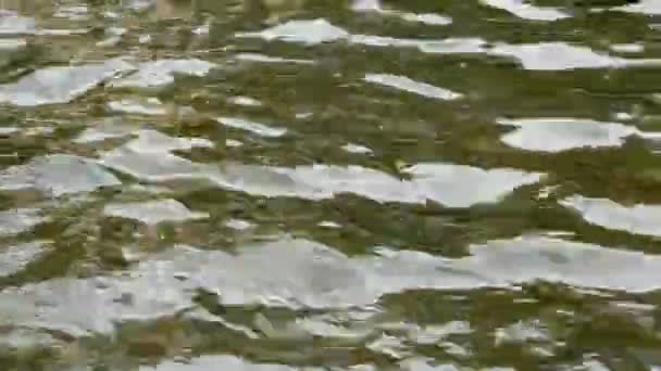Zielone Wody Falujący Powierzchni Stawu Tła — Wideo stockowe