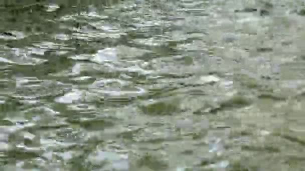 Groen Water Kabbelend Verstoord Oppervlak Van Rivier Achtergrond — Stockvideo