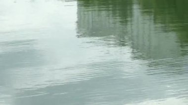 Pürüzsüz dalgalanan su yüzey üzerine düşünceler