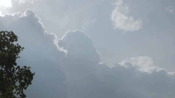 Hafif Mavi Gökyüzünde Beyaz Kabarık Bulutlar Karşı Yeşil Meşe Ağacı — Stok video